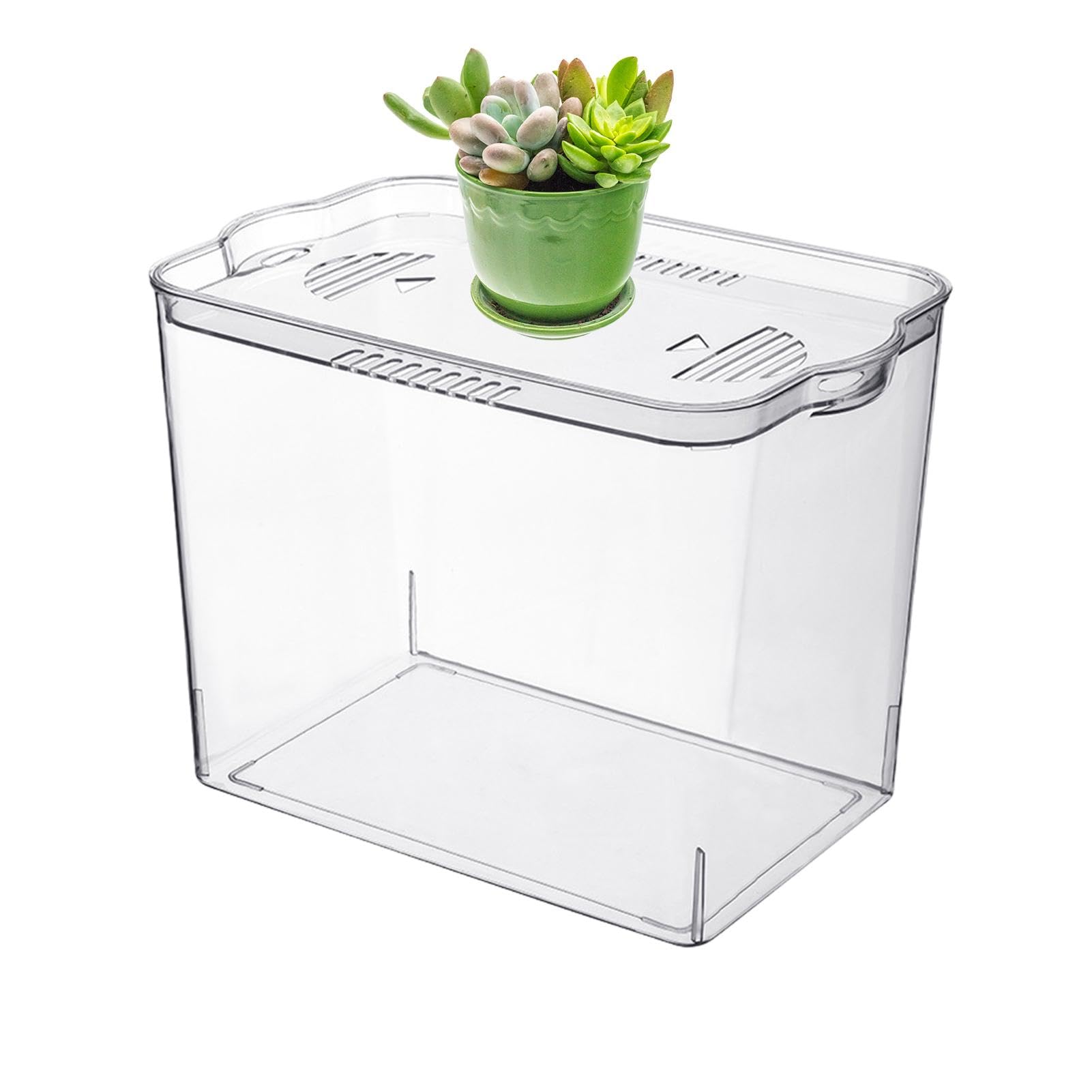 acquario, piscina per pesci | Piscina impilabile – Versatile ciotola per pesci temporanea per piscine per tartarughe, piante acquatiche, pesci , gamberetti, | per pesci temporanea per piscine per tartarughe, piante acquatiche, pesci , gamberetti,