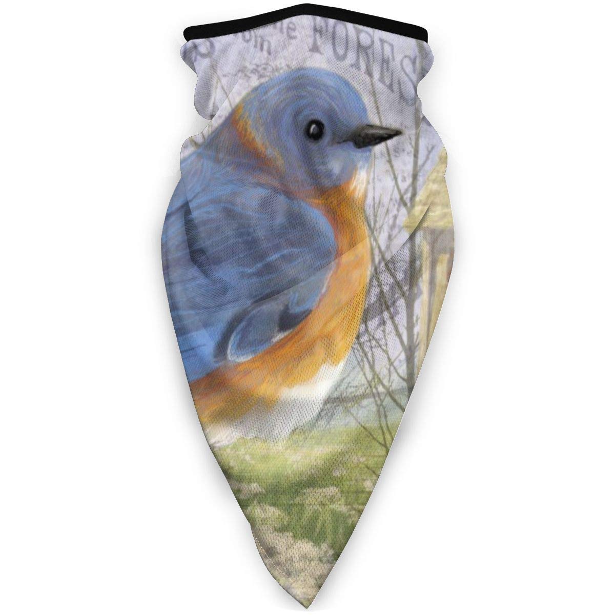 NA Nose Cover,Unisex Balaclava,Neck Gaiter,Bandana,Men Women Headwear,Outdoor Shield Scarf,Eastern Blue Bird Breathable Face Cover,Neck Warmer,Windproof Sports Scarf