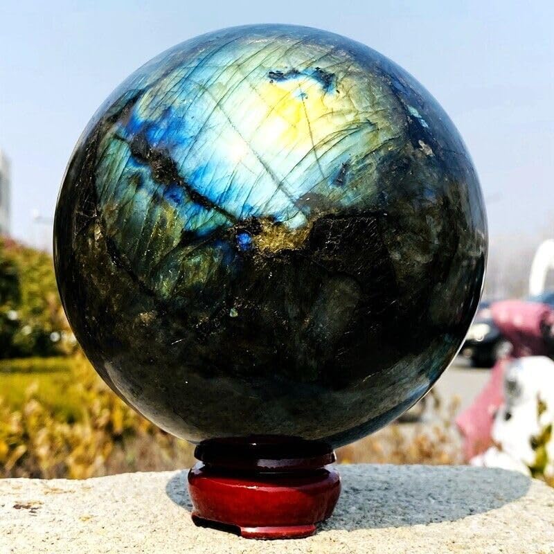 蝶の標本 ドイツ木製フレーム付き箱現状品のみ50x42x6cm T <1005z昆虫