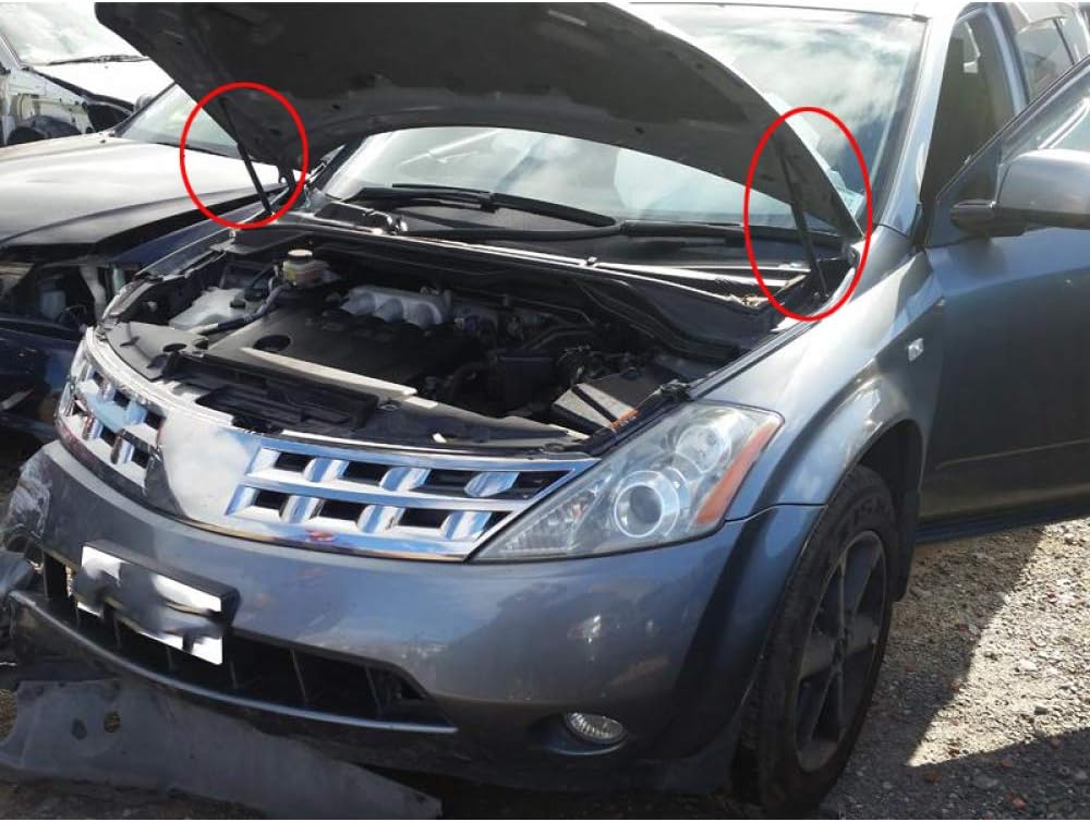 Obcwsg Per Nissan Murano Z50 2003-2007 372 Mm, 2 Pezzi/Set Cofano Cofano Per Auto Puntoni A Gas Supporti Ammortizzatori Sollevamento Automatico Supporti Molla A Molla : Amazon.it: Auto E Moto