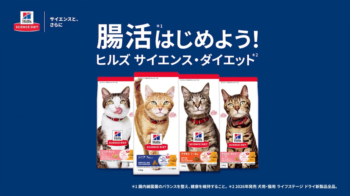 Hill's Science Diet シニア　11歳以上1.4kg 5つセット Amazon | キャットフード サイエンスダイエット シニアプラス 猫用 11
