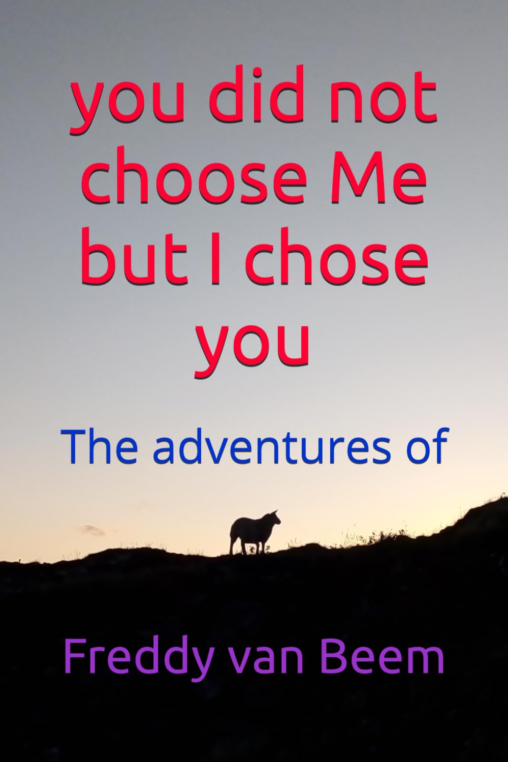 you did not choose Me but I chose you: The adventures of