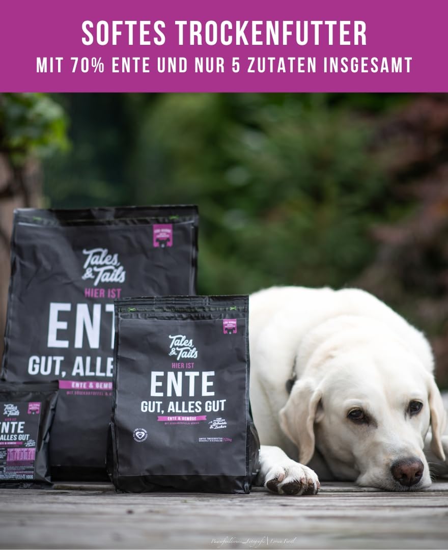 rhr kratzbäume Corner Coon Crème main image 0