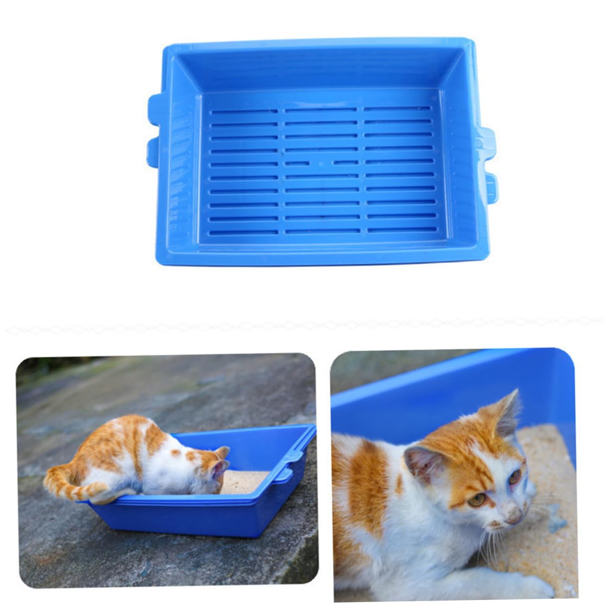 Drei in Eins Katzentoilette aus Pp 3-lagig Spill Proof Design Pott Training für Haustierkatzen