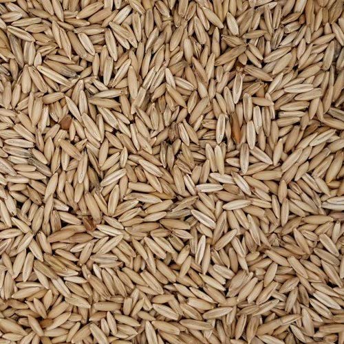 Eurital Derby Hafer 5 kg - Hafer für Pferde, Nager und Vögel