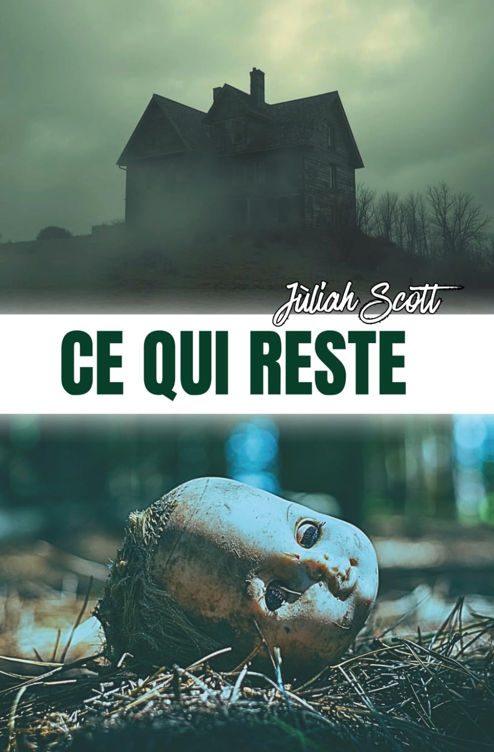 Ce qui reste: Un thriller psychologique domestique