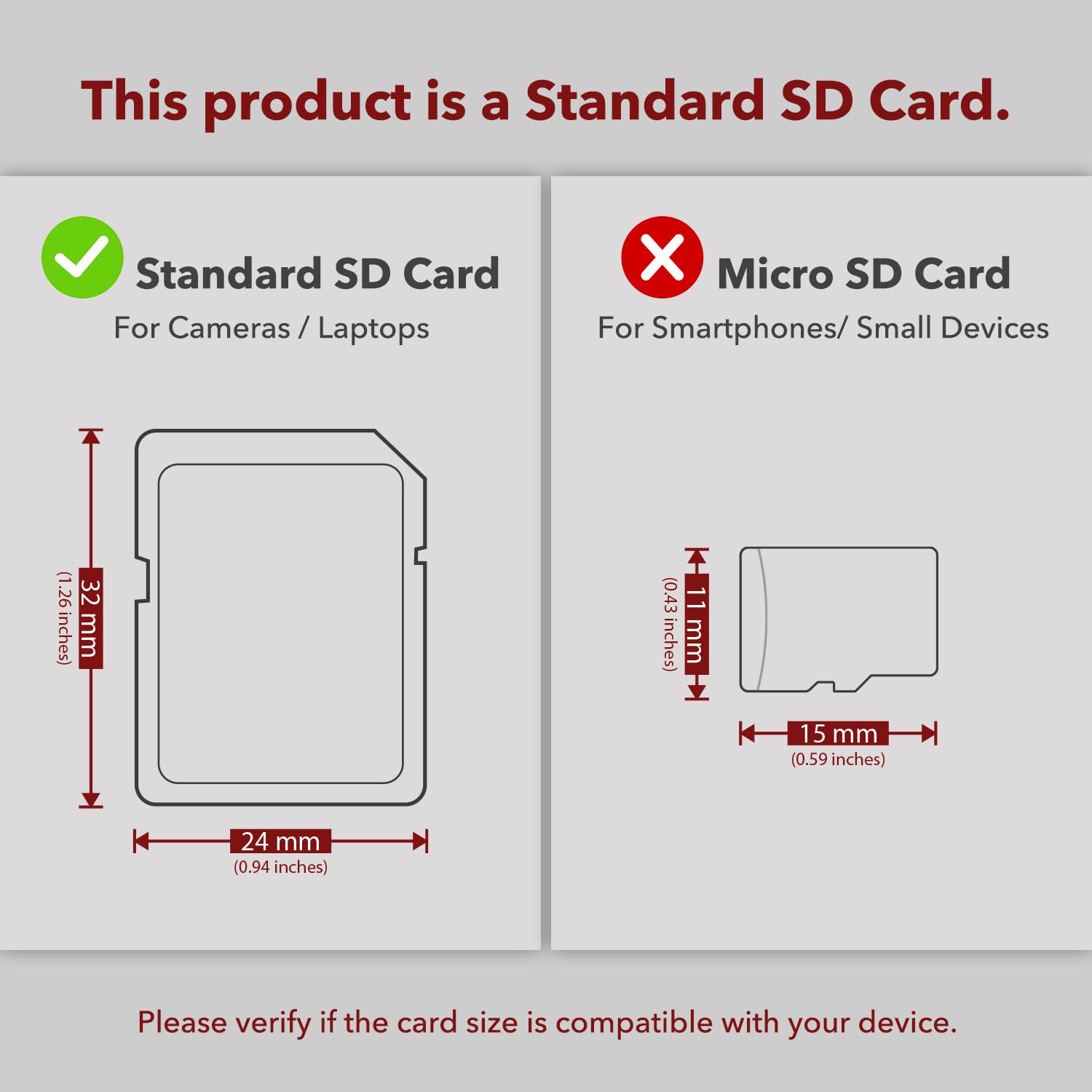 Amazon.com: Transcend 2 GB SD Flash Memory Card (TS2GSDC