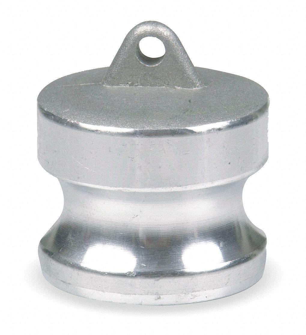 Dust Plug, 2 in, 316 SS