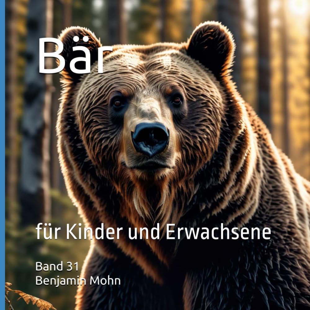 Bär: für Kinder und Erwachsene