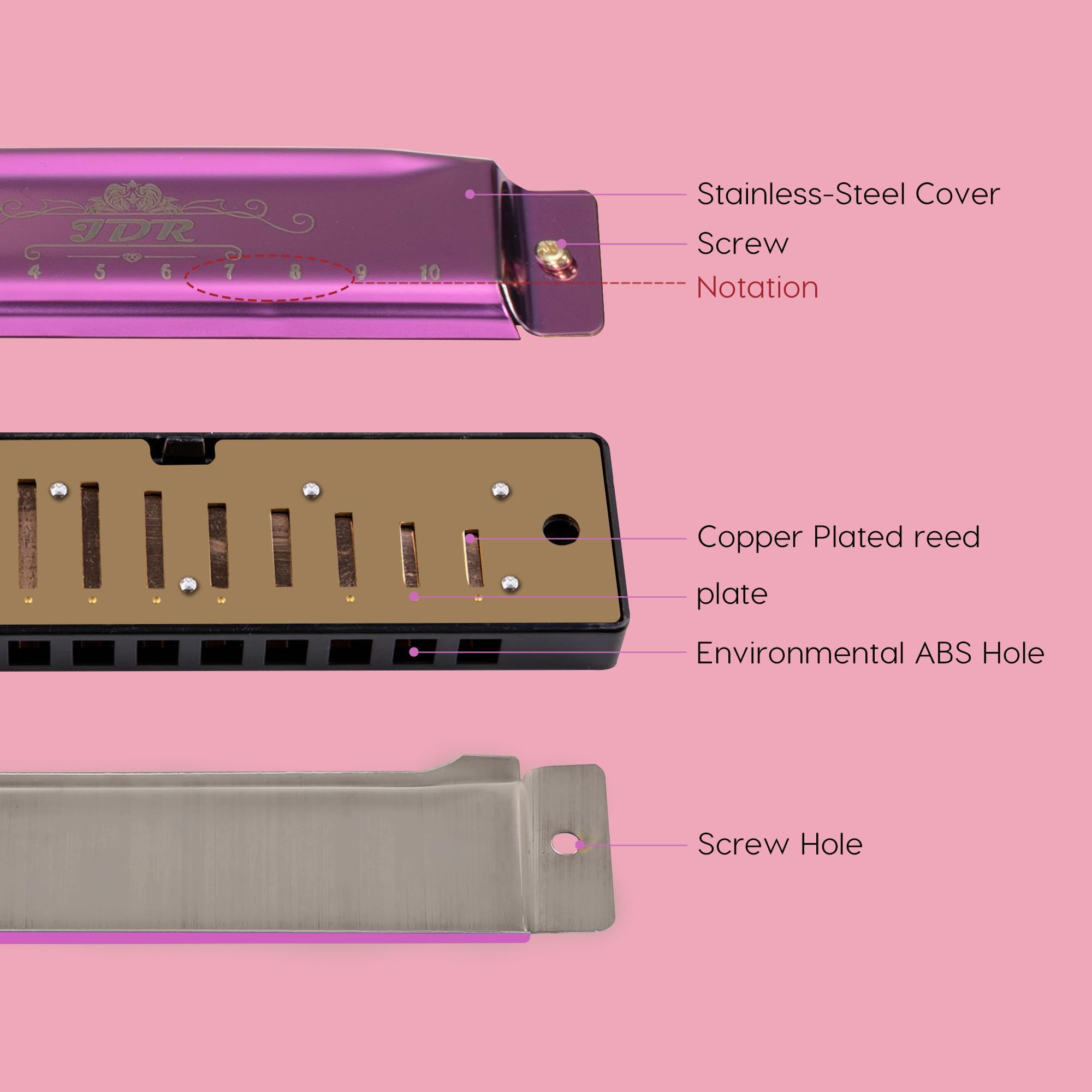 JDR Harmonica Blues C Key 10 Hole 20 Tone Mouth Organ with Case Diatonic Armonica for Kids Professional Player Beginner Students Adults Friends Teacher Parents Stainless Steel Black (Purple) - Image 4