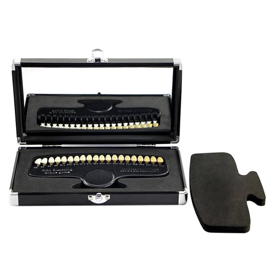 Amazon.co.jp: 専門の歯科用歯のシェードガイド、陶器3D R-20