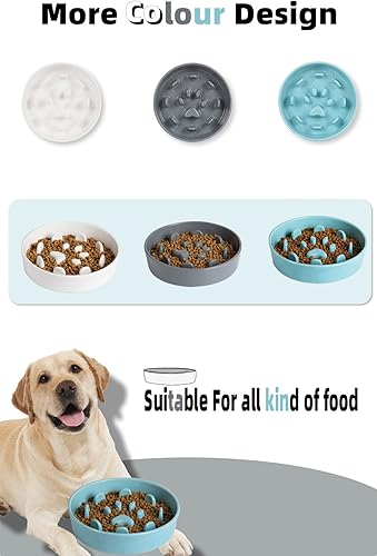 Miniatura 6 de HAOTOP Ceramic Fun - Cuenco de alimentación lenta de porcelana, cuenco de comedero lento para perros medianos (turquesa)