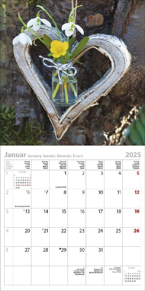 Calendario De Pared Landleben 2024 – 30 X 30 Cm – Con Fechas De Vacaciones Y Fotos Rurales