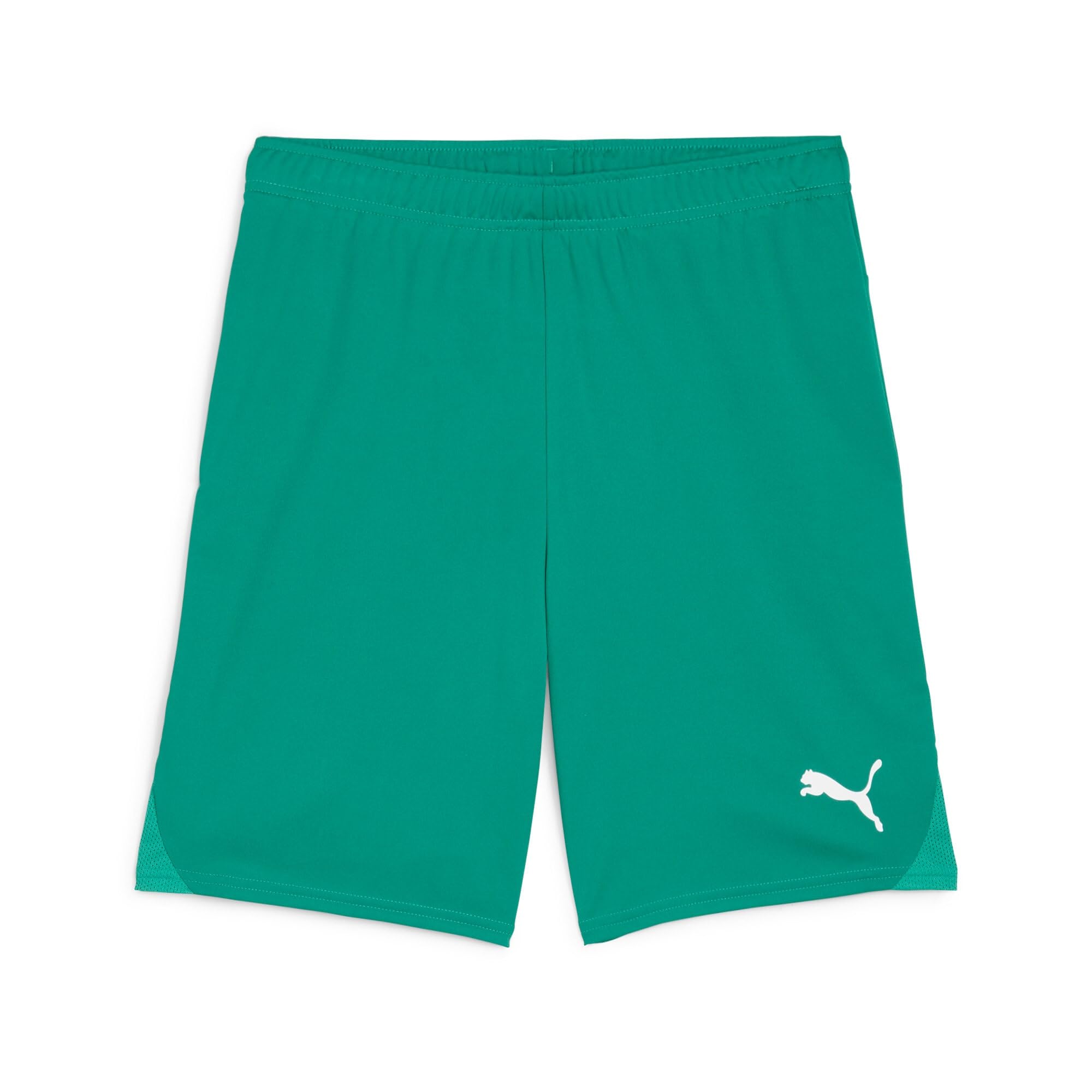 PUMA teamGOAL Shorts