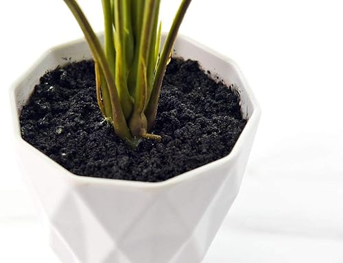 Miniatura 7 de SPKTCULR Monstera Ceriman Bonsái artificial de 20 pulgadas, planta de queso suizo pequeña en maceta sintética, árbol verde tropical para escritorio,