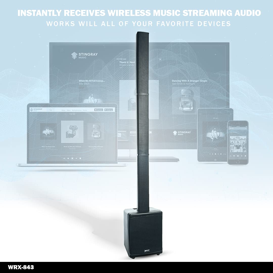 Buy Gemini Sound WRX900TOGO Professional Portable Rechargeable Audio