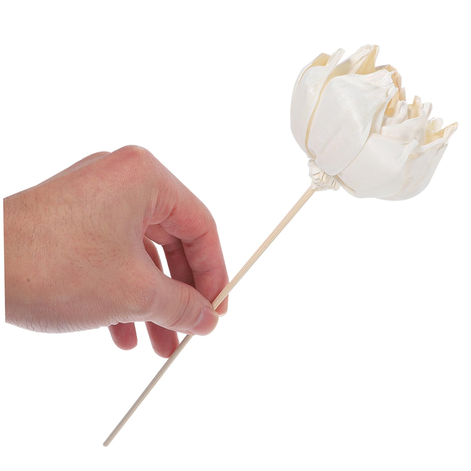 Alipis 20pezzi Diffusore Con Fiori Secchi Naturali Elegante Decorazione Per Ambienti Per Casa e Bagno