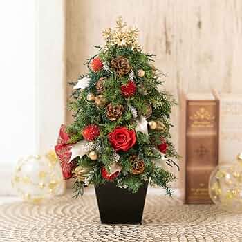 セール！ドライフラワー＊クリスマスツリー Amazon.co.jp: 【X'mas限定】 クリスマスツリー/プリザーブド