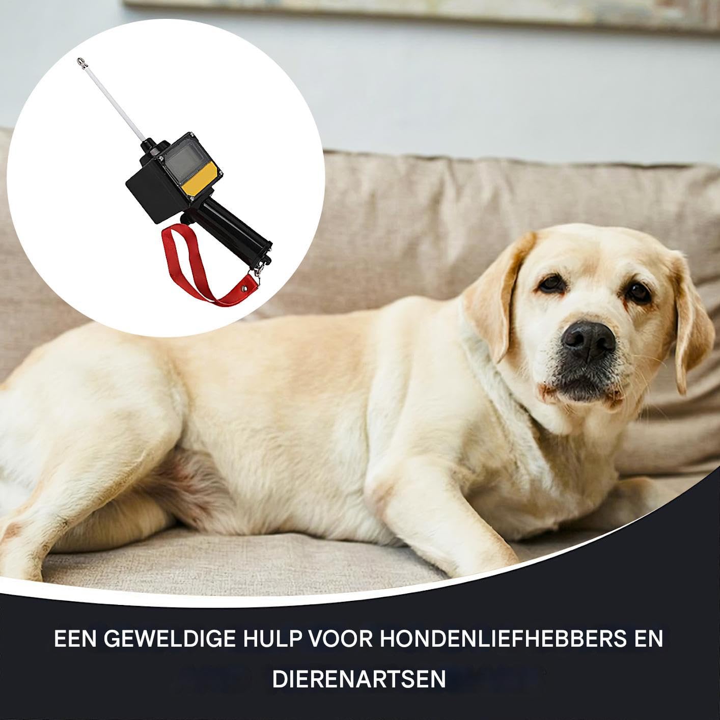 Rilevatore Di Ovulazione Per Cani Test Di Gravidanza Canina Con Sonda | Allevamento Cani Con Cordino Rilevatore Ovulazione Impermeabile Alimentato A Batteria Per Pianificazione