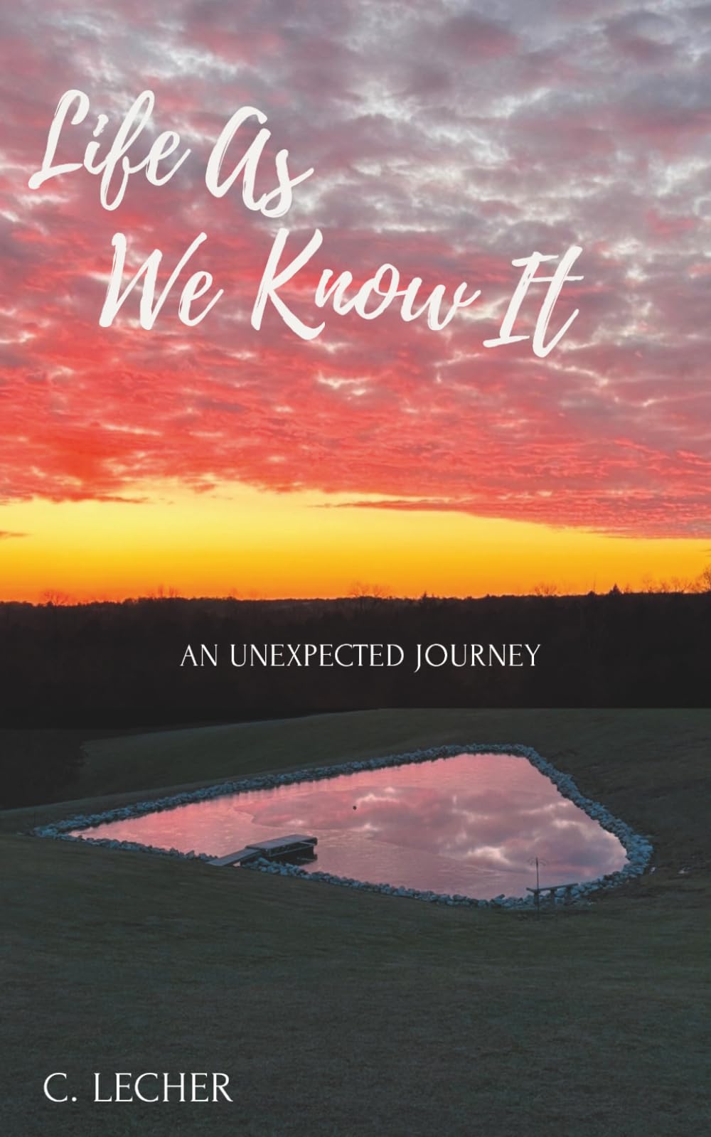 Life As We Know It: An Unexpected journey