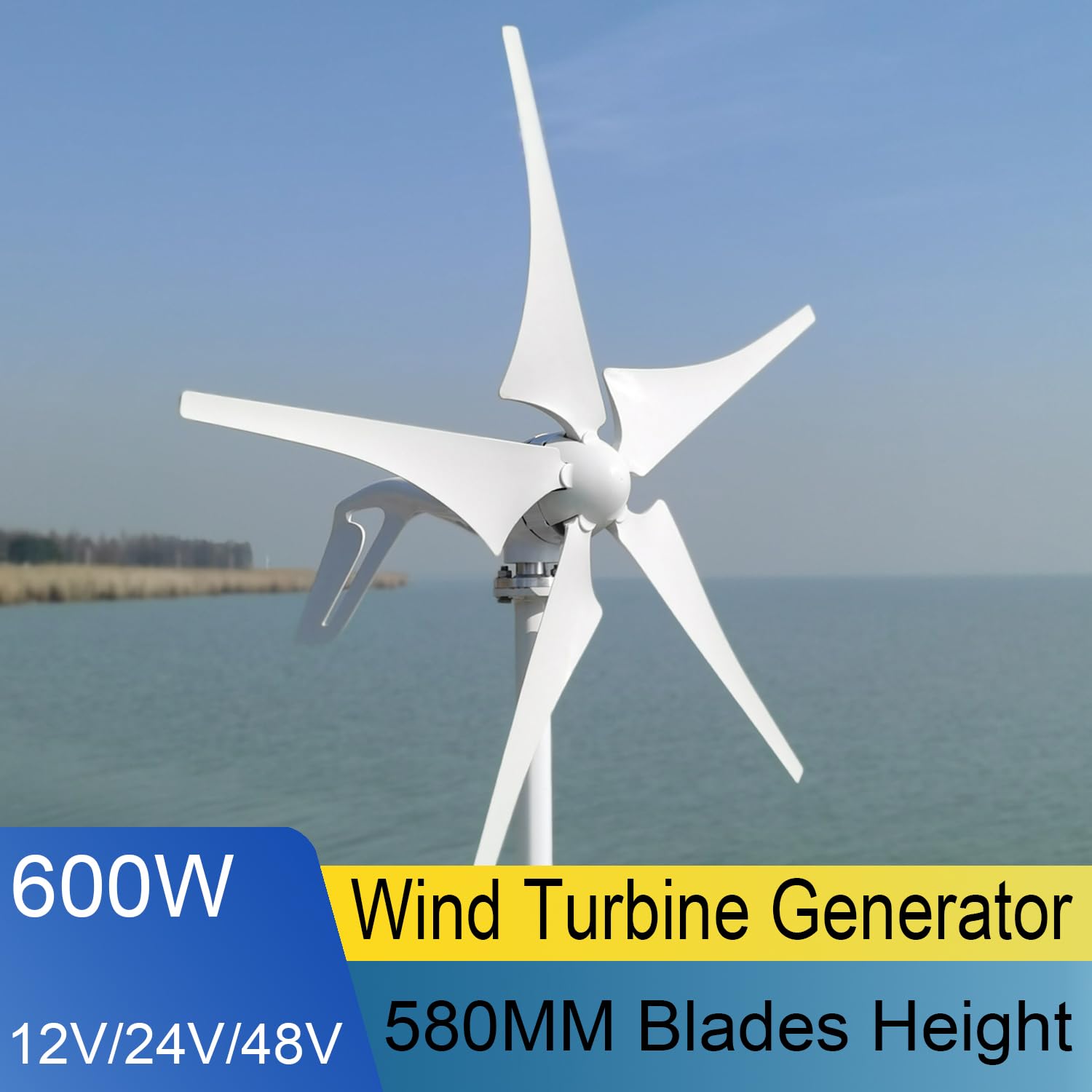 Aerogenerador 800W 12V/24V/48V - Generador Eólico 5 Palas con Controlador MPPT, Funcionamiento Silencioso para Hogar y Granja (24, Voltios)