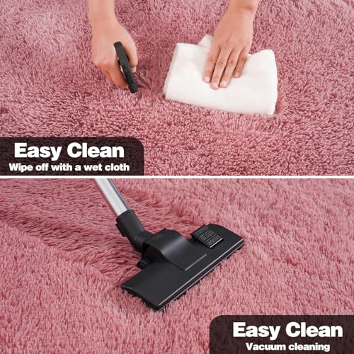 KING DARE Small Shag Rug 2x3 for Bedroom, Soft Fuzzy Bedside Throw Area Rug for Living Room Dorm, Non Slip Plush Carpet Modern Home Decor Aesthetic for Entrance Nursery Kids Room, Blush
