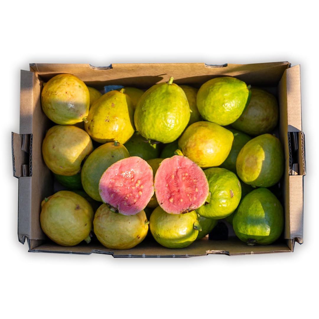 Guayaba rosa o blanca - caja 2kg - cultivo nacional y sostenible en Castellón, Recién recolectadas, dulces y sabrosas, directas del agricultor a tu casa.
