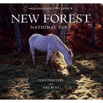 New Forest National Park