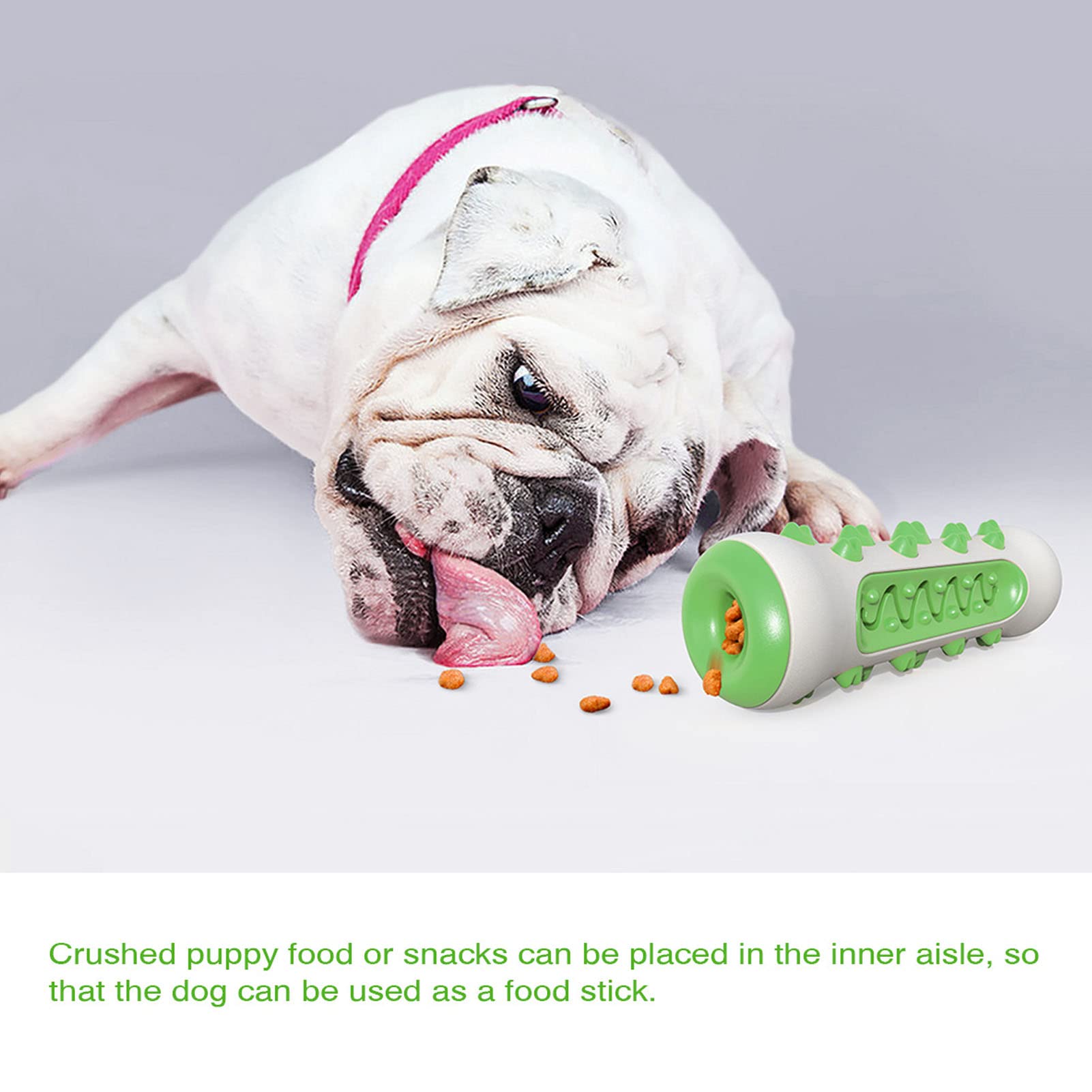 Jouet Dentition Chien Avec Brosse à Dents - Distributeur De Croquettes, Antidérapant, Pour Chiots Et Adultes