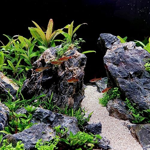 Image of 18-20 Inches Natural Seiryu Stone 1 PCS Ultra Large Aquarium Rocks for Aquascaping, Aquarium Landscaping, Terrariums, Fish Tank Decoration, Vivariums, Paludarium, Amphibian Enclosures
