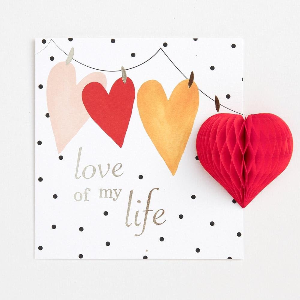 Caroline Gardner 3d Pom Pom Love of My Life Valentine Card