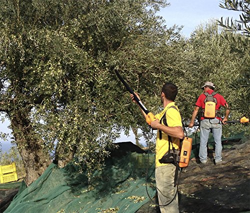 OLIO EXTRAVERGINE DI OLIVA BIOLOGICO 100% ITALIANO...