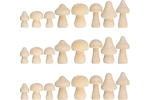 Tiny Mushrooms in Bulk for Unbridled Creativity