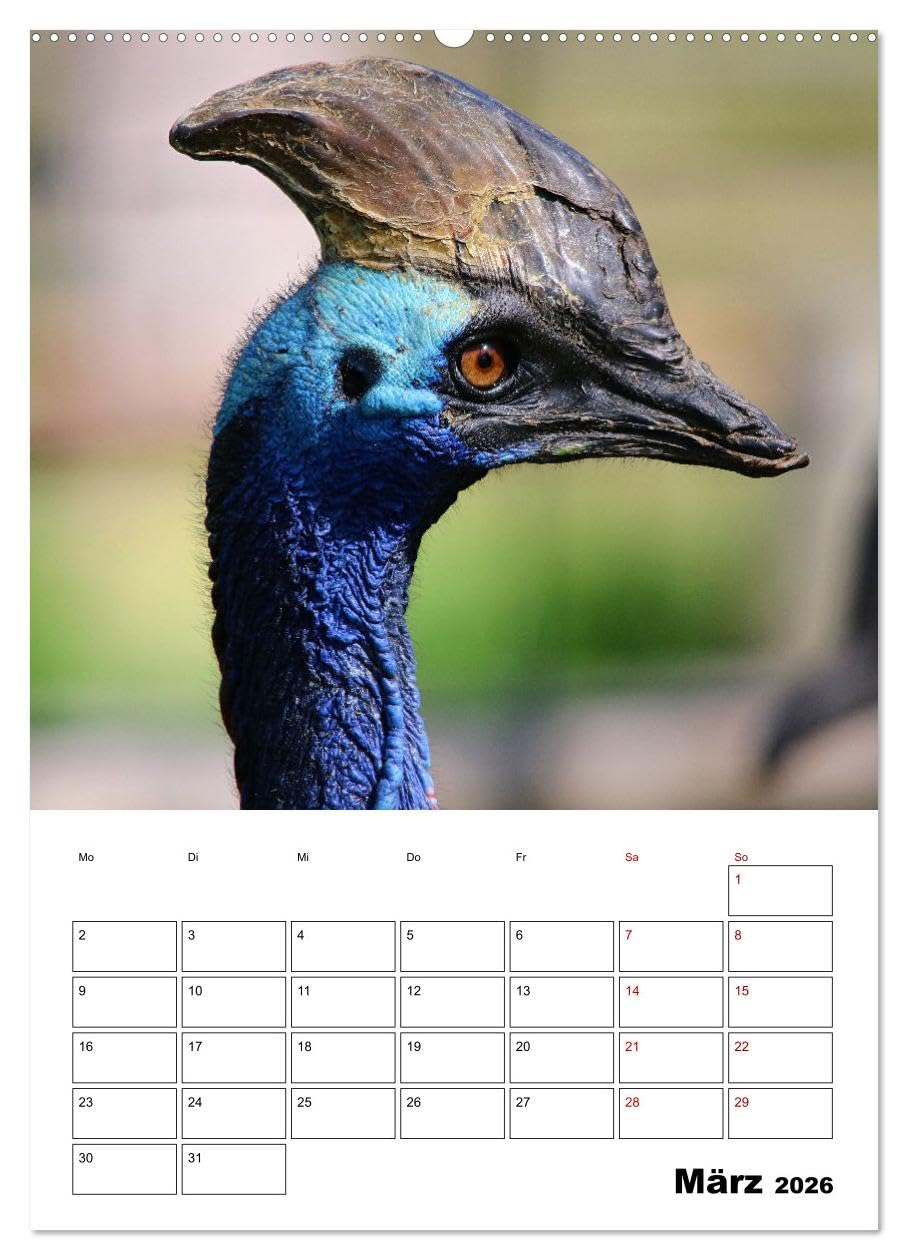 Australiens faszinierende Tierwelt (Wandkalender 2026 DIN A2 hoch), CALVENDO Monatskalender: Beeindruckende, exotische Tiere des roten Kontinents hautnah abgelichtet (CALVENDO Tiere)