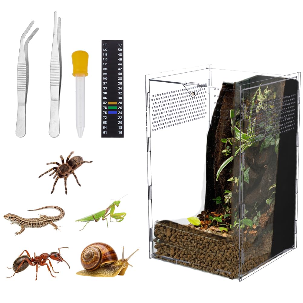 DELORIGIN Jumping Spider Enclosure Acrylic Ventilated Insect Terrarium Reptile Enclosure Habitat Accessories for Jumping Spider Tarantula Mantis Snail Hermit Crab Lizard (6x6x10 Inch)