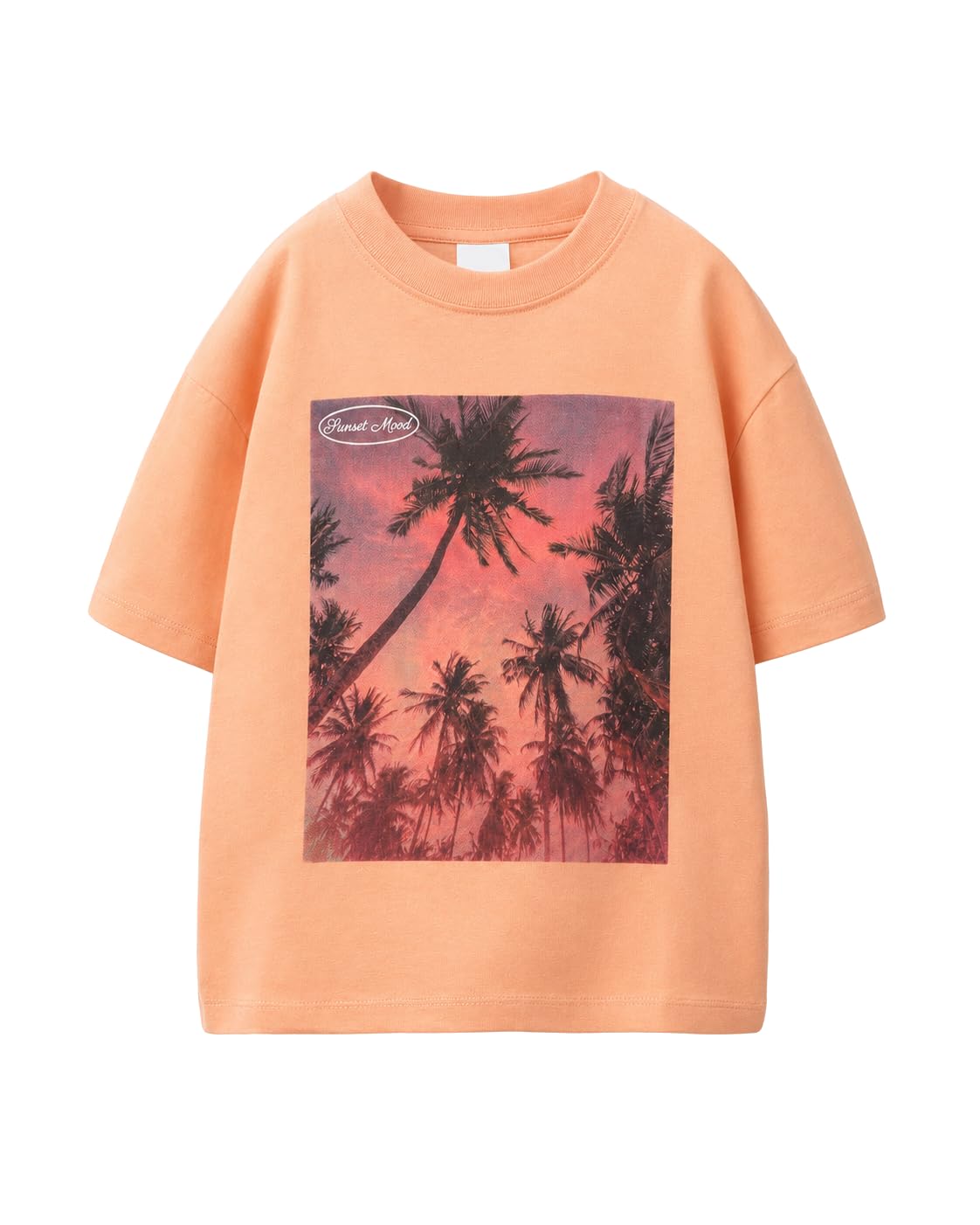 Alan Jones Clothing Girls Regular Fit Printed T-Shirt | Half Sleeves Round Neck Tee| 5-16 Years-image-42