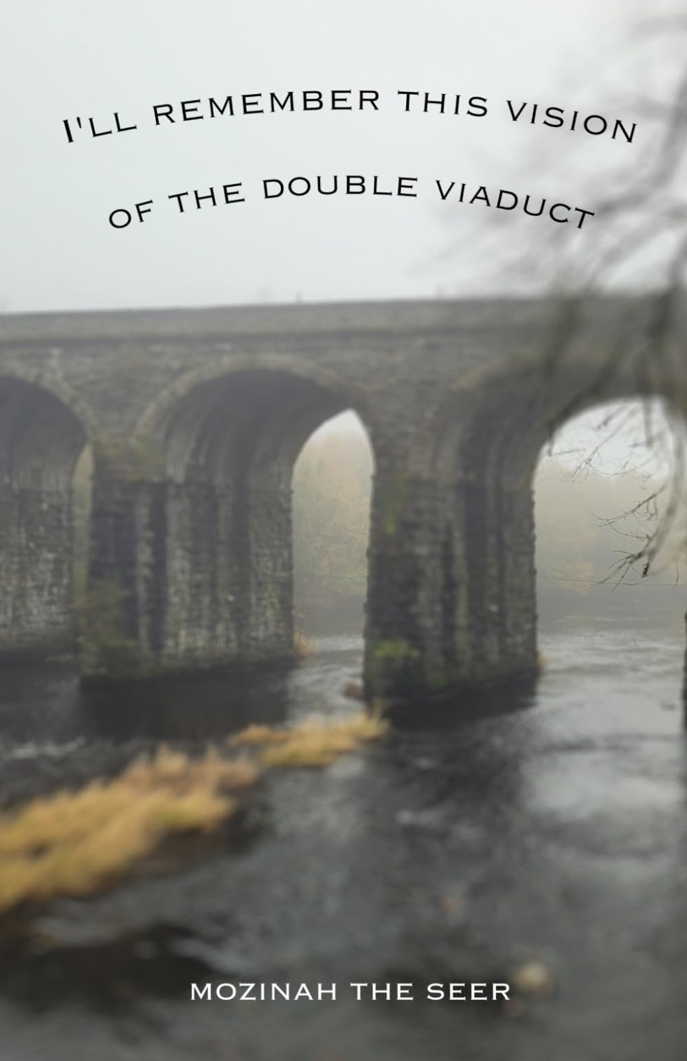 I'll Remember this Vision of the Double Viaduct