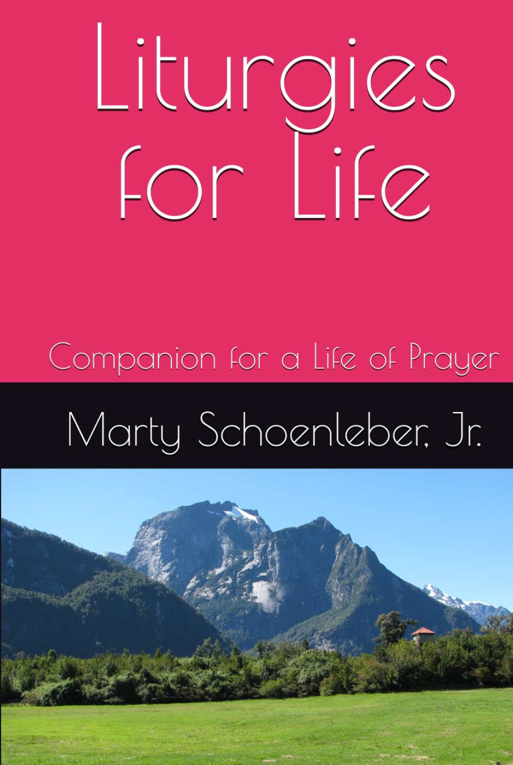 Liturgies for Life: Companion to a Life of Prayer