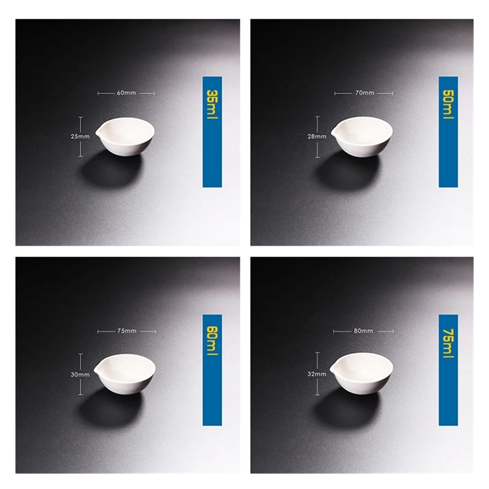 Lot de 10 bols d'évaporation en céramique pour laboratoire (100 ml)