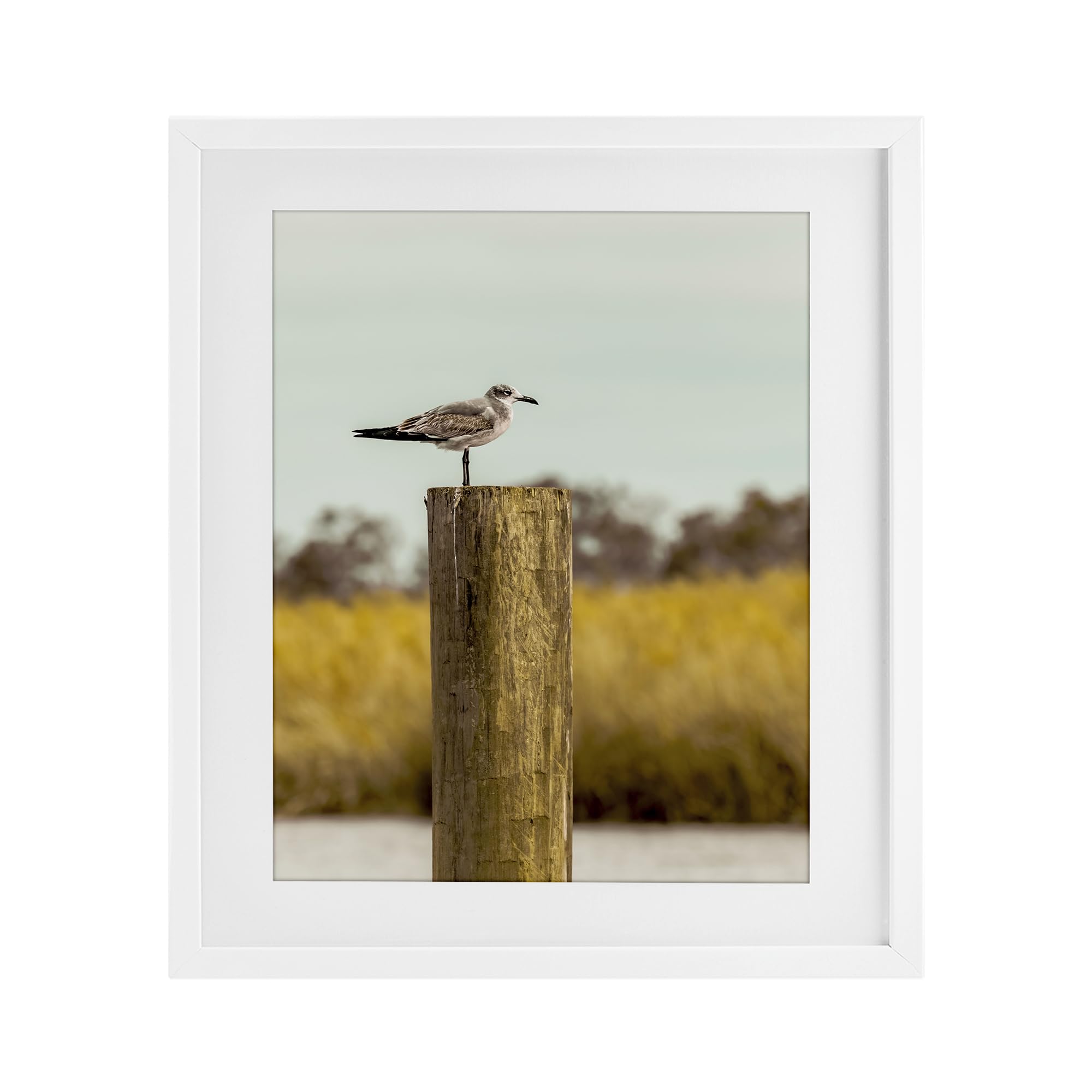 Stupell Industries 'Gull On Piling', Framed Print Under Glass, White, 17 x 21 Inches, Easy to Hang and Sturdy, Made in USA, by Christy Berry
