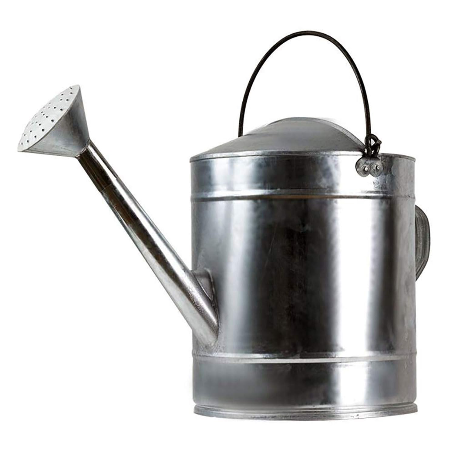 Regadera Metálica - Galvanizada de Calidad 5L/7L/10L/12L/15L/18L Gran Capacidad, Resistente Anti Óxido, Regadera Desmontable, para Grandes Jardines Pequeños Flores y Plantas,10L