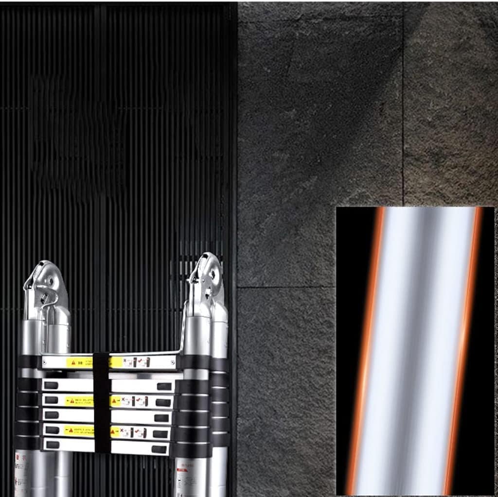 どれでも1ポット555円 エケベリア 6cmポット 100均エケベリアの