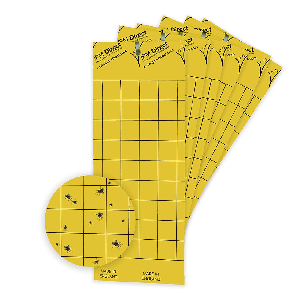 IPM DirectYellow Sticky Fly Traps, Fly Paper for Control against Fungus Gnats, Whiteflies, Aphids, Leafminers - (10x25cm, Ties Included) 20 Pack