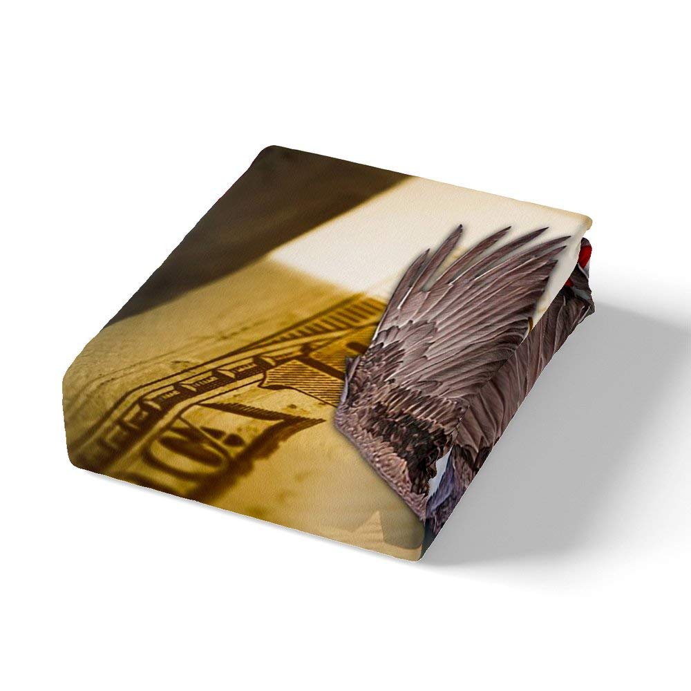 American Eagle Juego de ropa de cama con diseño de águila calva y bandera de Estados Unidos, funda de edredón para niños, niñas y adultos, 4 de julio, ropa de cama, decoración de cama, con 2 fundas