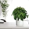 Product Photo 5