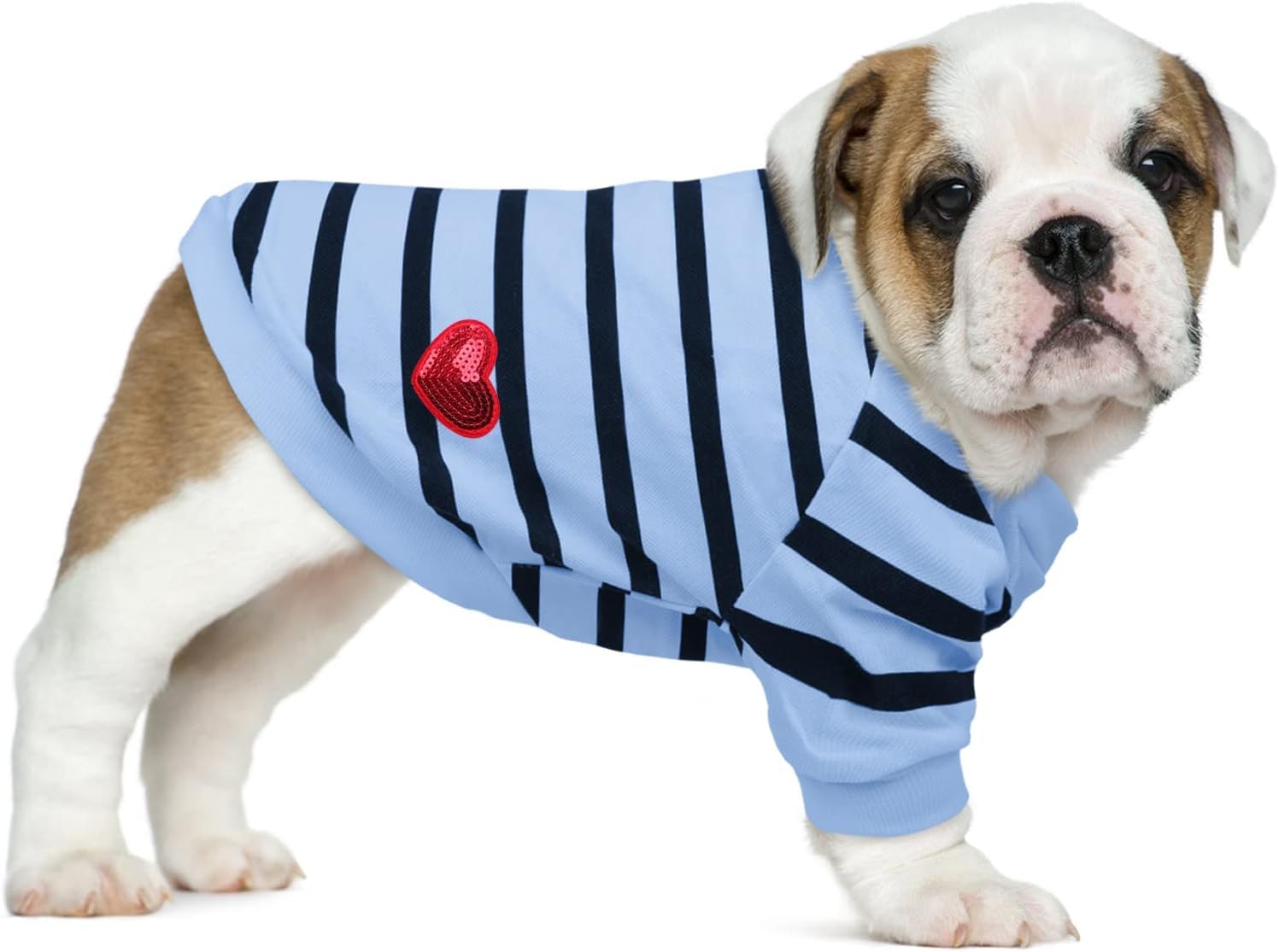 Pet Dog Striped T-Shirt Dogs Cats Cotton Vest Spring Summer Pet Apparel Tee Shirt Suitable for Small and Medium Large Pets Bulldog Bichon (Blue, Small)