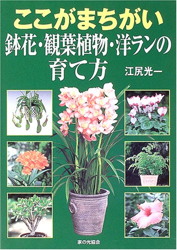 ここがまちがい 鉢花 観葉植物 洋ランの育て方 江尻 光一 本 通販 Amazon ここがまちがい 鉢花 観葉植物 洋ランの育て方 江尻 光一 本 通販 Amazon