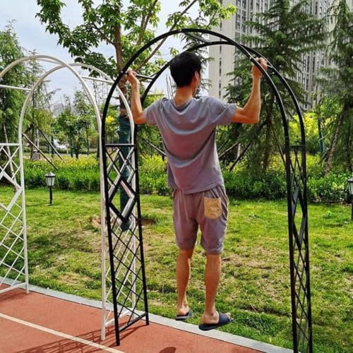 Arche de jardin en métal haut de gamme comme cadre de support durable