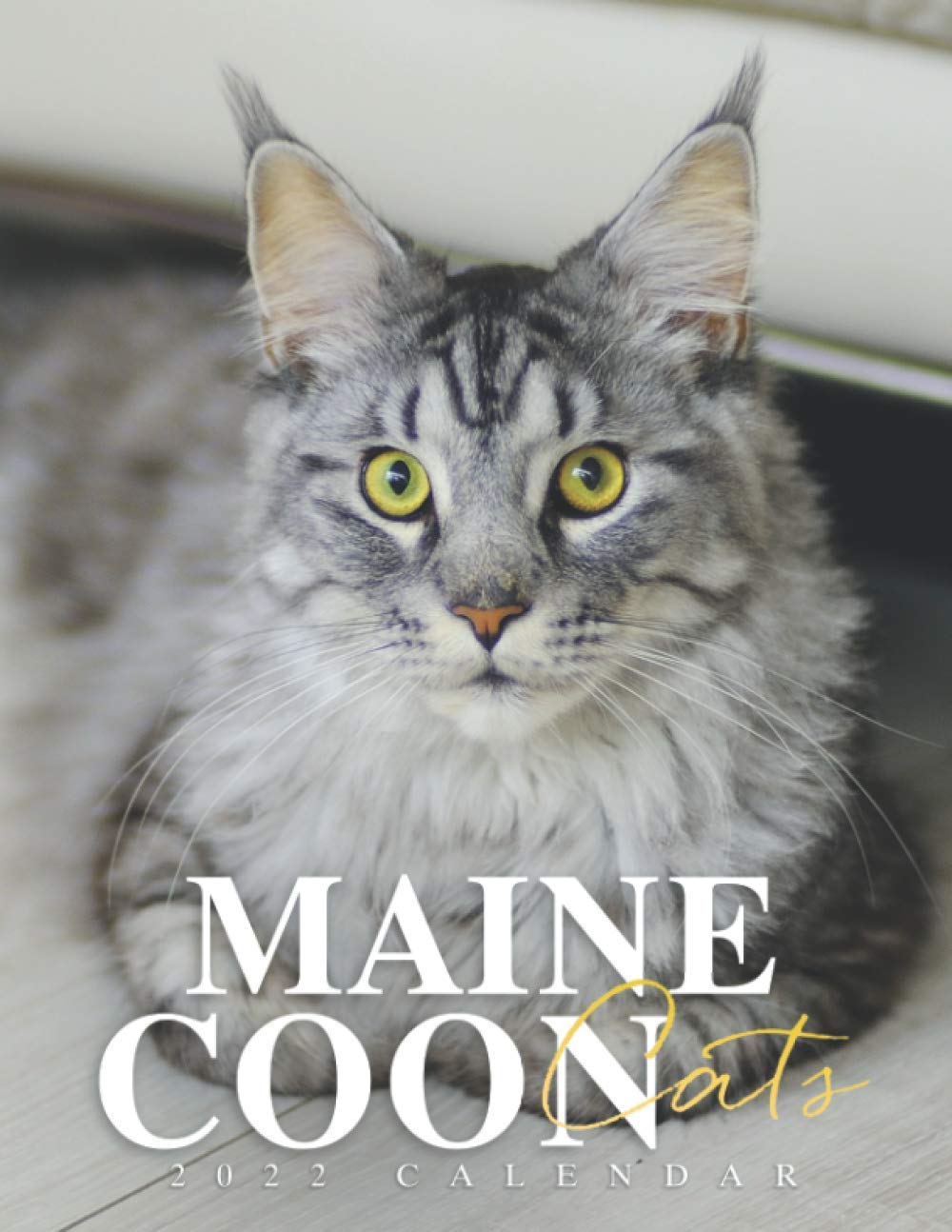 Buy Maine Coon Cats 2022 Great 18 month Grid 2022 From July 2021 To Buy maine coon cats 2022 great 18 month grid 2022 from july 2021 to