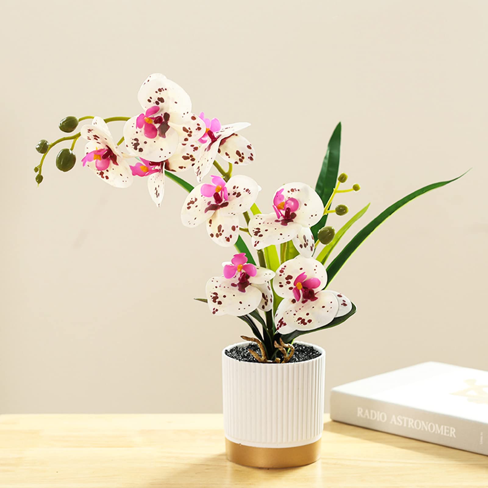 ZiosxinArtificial Orchid Flower in White Pot, Faux Orchid Real Touch Fake Phalaenopsis Bonsai for Office Home Wedding Party Indoor Decor (White)